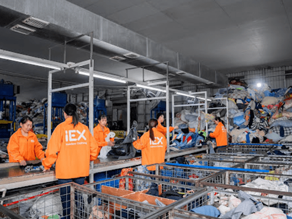 Handpicked Sorting 1