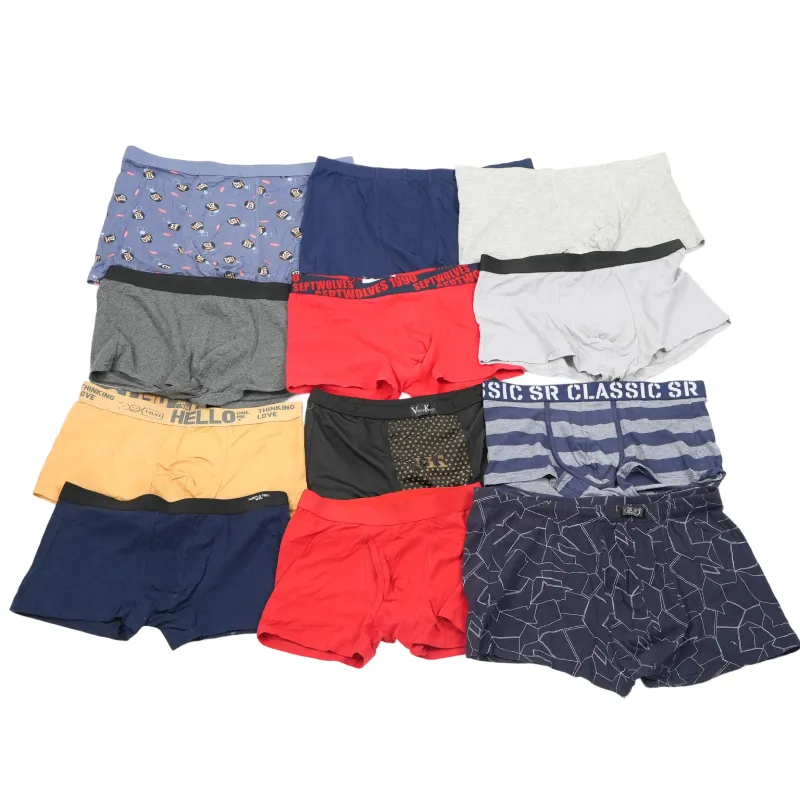 Used Men’s Underpants for Sale (1)